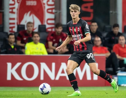 一些国家已 一些国家已